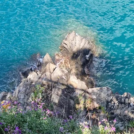 Apartment 5 Cinque Terre Monolocale In Centro A La Spezia